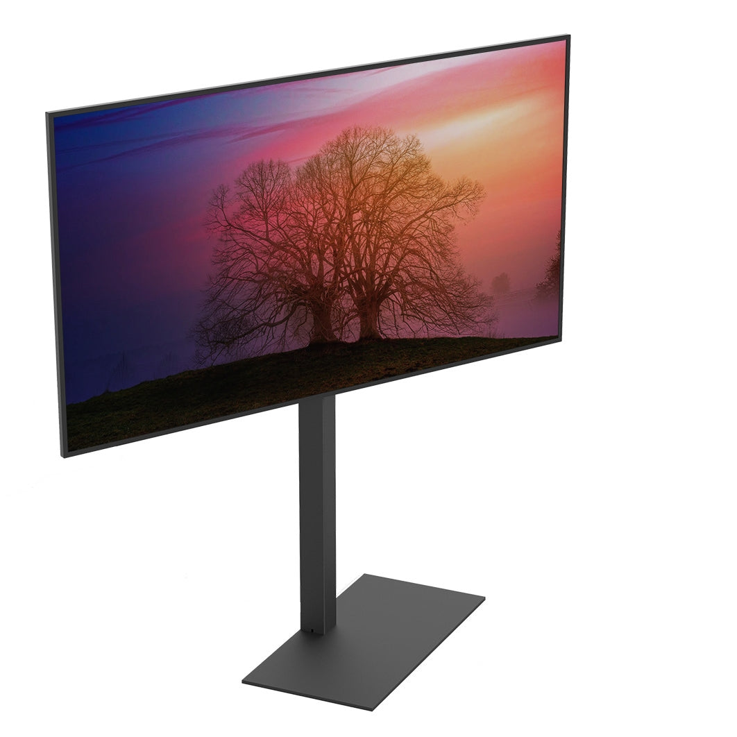 Cavus CAV-FS100 TV-Ständer FS100 Basic (37 - 65")