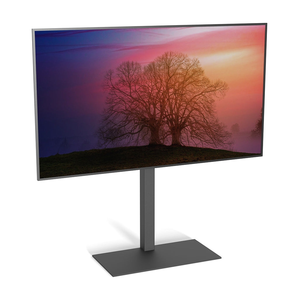 Cavus CAV-FS100 TV-Ständer FS100 Basic (37 - 65")