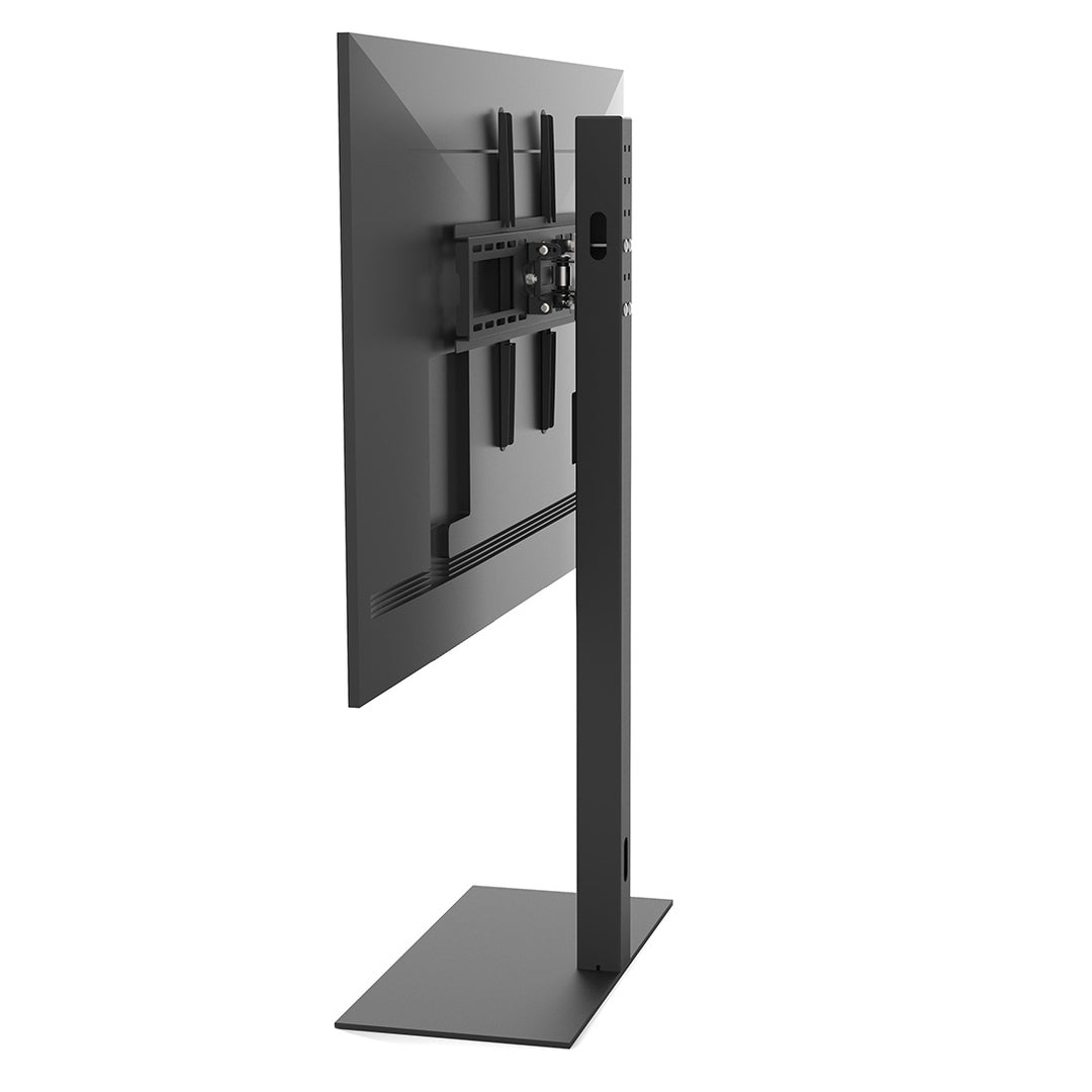 Cavus CAV-FS100 TV-Ständer FS100 Basic (37 - 65")