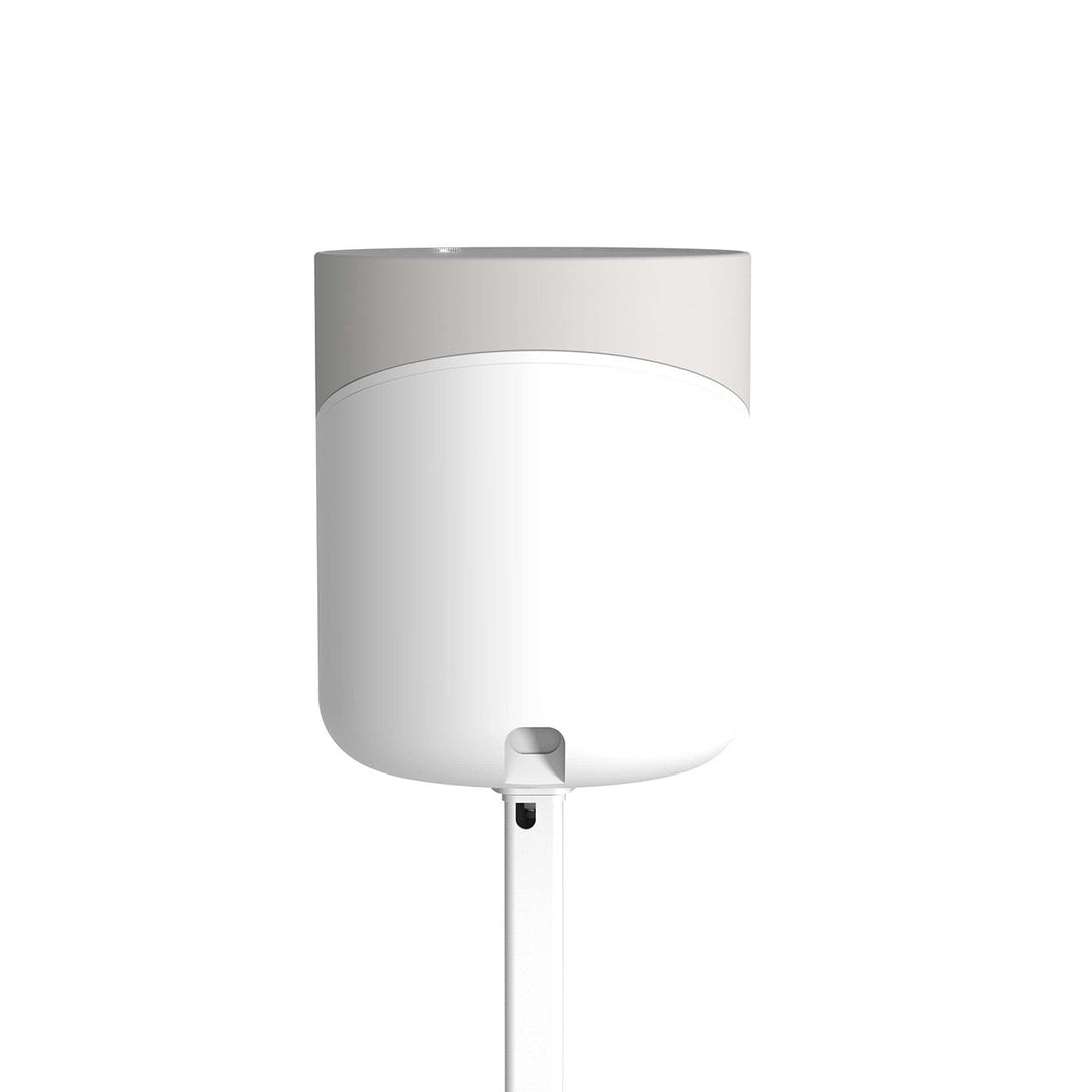 Cavus CSPULSEMW Ständer zu Bluesound Pulse M Weiss